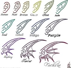 the different types of dragon wings and their names are shown in this drawing lesson for kids