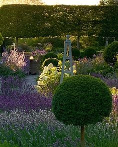 a garden filled with lots of different types of plants