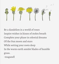 the poem is written in different languages with dandelions and flowers on each side