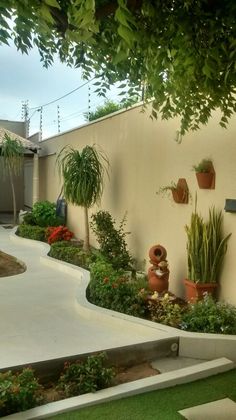 an outdoor garden with plants and flowers on the side of a building, in front of a white wall