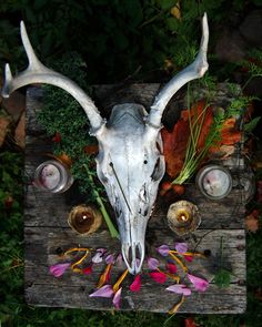 an animal skull with horns and flowers on a wooden table surrounded by leaves and candles