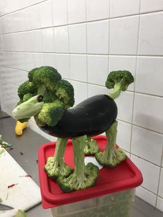 broccoli is placed on top of a plastic container in the kitchen, as if it were made from an eggplant