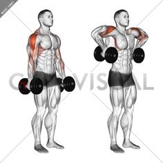 an image of a man doing exercises with dumbbells for back and shoulder muscles