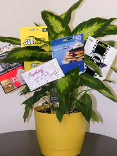 a potted plant sitting on top of a table with lots of cards attached to it