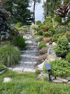 a garden with lots of plants and rocks on the ground, along with steps leading up to