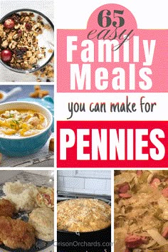 the top ten family meals you can make for pennies