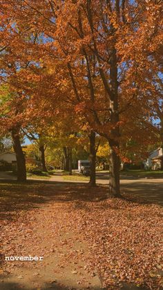 a park bench sitting in the middle of a leaf covered sidewalk next to trees with orange and yellow leaves on it