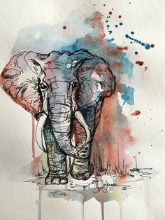 an elephant painted in watercolor and ink on paper