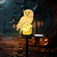 an owl sitting on top of a mailbox in front of a house with pumpkins