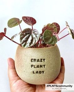 Funny plant pots that will make put a smile on your face! Funny Plant Pots, Smile On, Plant Lady