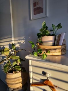 a white dresser with some plants on it