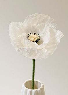 a white flower in a vase on a table