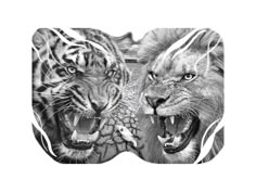 two lions and a tiger face to face with each other in front of a white background