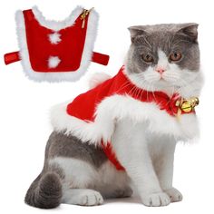 a gray and white cat wearing a santa claus outfit next to a red bib