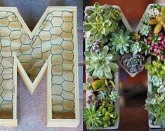 the letter m is decorated with succulents and other things to make it look like