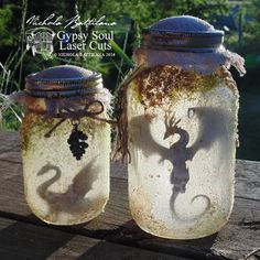 two jars that have some kind of shadow on them, one with a lizard in it