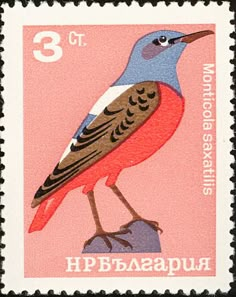 a postage stamp with a bird on it's head and the number 3 in russian