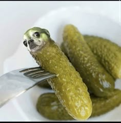 a close up of a plate of pickles with a fork stuck in it and a sloth on the side