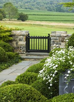 a stone wall and gate surrounded by white flowers in front of an open grassy field