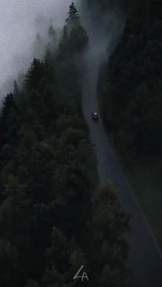 an aerial view of a road surrounded by trees in the middle of foggy weather