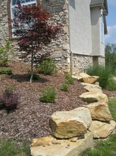 a rock garden bed in front of a house with a tree and shrubbery on the side