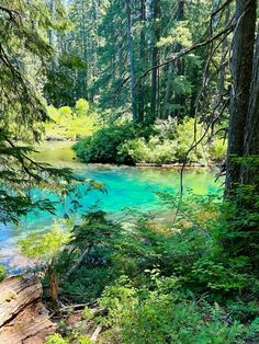 the blue water is surrounded by trees and rocks in the woods, with green foliage on either side