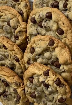 several chocolate chip cookies on a white plate