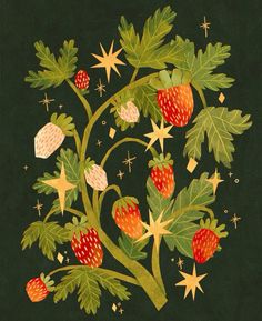 a painting of strawberries and leaves on a dark green background with stars in the sky