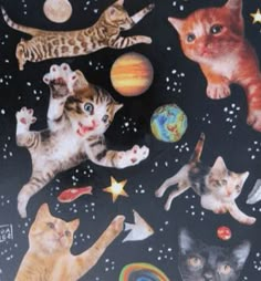 an image of cats in the space with planets and stars on it's surface