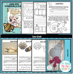 an ocean themed book with pictures of seashells and other things to do on the beach