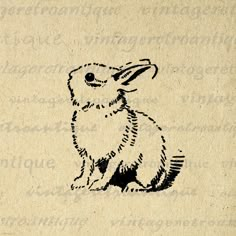 a black and white drawing of a rabbit