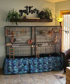 a living room filled with lots of birds in cages