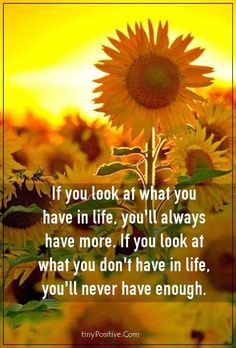 a sunflower with the quote if you look at what you have in life, you'll always have more if