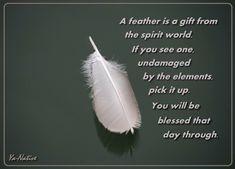 a feather sitting on top of a table next to a quote