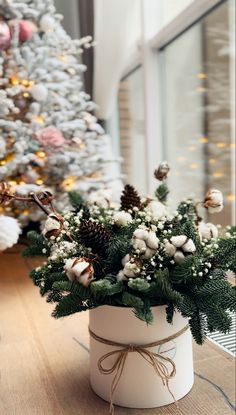 a potted plant sitting on top of a wooden table next to a christmas tree