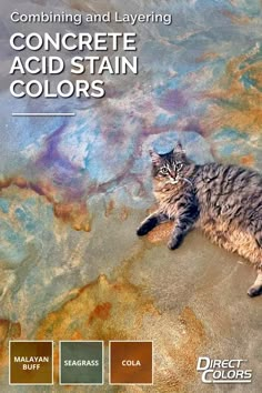 Cat on multicolor acid stained concrete floor Stained Concrete Floor Ideas, Acid Washed Concrete Floors, Stained Concrete Floors Colors, Stained Cement Floors