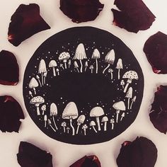 a black circle with white mushrooms and stars on it, surrounded by dried rose petals