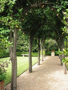 an outdoor walkway lined with trees and potted plants