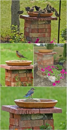 birds sitting on top of a brick fountain