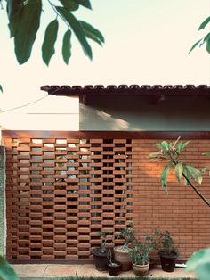 some potted plants are in front of a brick wall and wooden slatted fence