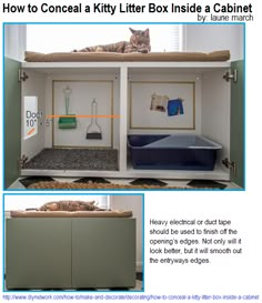 a cat laying on top of a bed in a room next to a cabinet with drawers