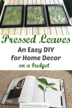 an easy diy for home decor with pressed leaves in frames and text overlay