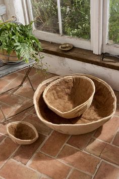 two bowls are sitting on the ground next to a window and potted plant in front of it