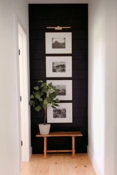 a hallway with black walls and pictures on the wall, a wooden bench and a potted plant