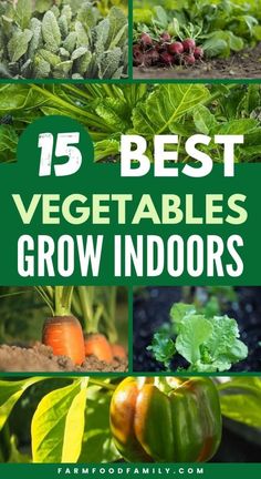 some vegetables that are growing in the ground and with text overlay saying, 15 best vegetables to grow indoors