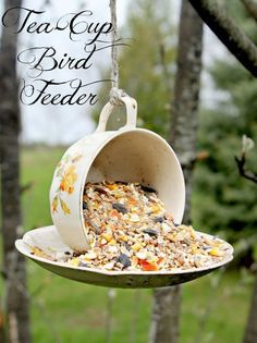 a tea cup bird feeder hanging from a tree in a yard with the words tea cup bird feeder above it