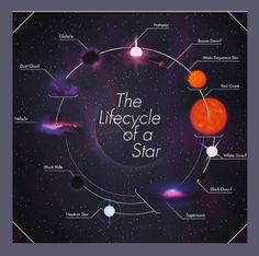 the lifecycle of a star