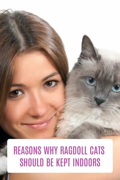 a woman holding a cat with the caption reason why raddoll cats should be kept indoors