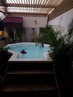 an indoor swimming pool with steps leading up to it and plants in the foreground