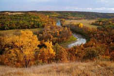 a river running through a lush green forest next to a dry grass covered field with yellow and red trees